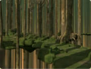forestpath.jpg