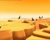 desert.jpg