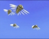 hornets.jpg